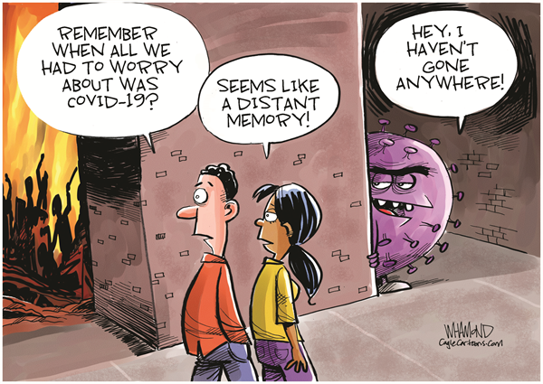 06092020 cartoon 6.png